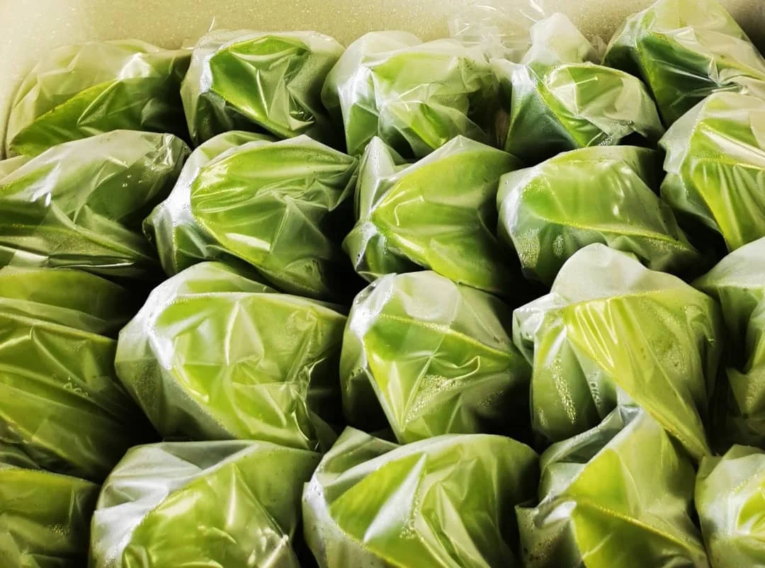 Hot Selling Fresh Starfruit Carambola from Malaysia Export Halal HACCP Premium Organic Malaysia Fruit High Grade Dry Fruits