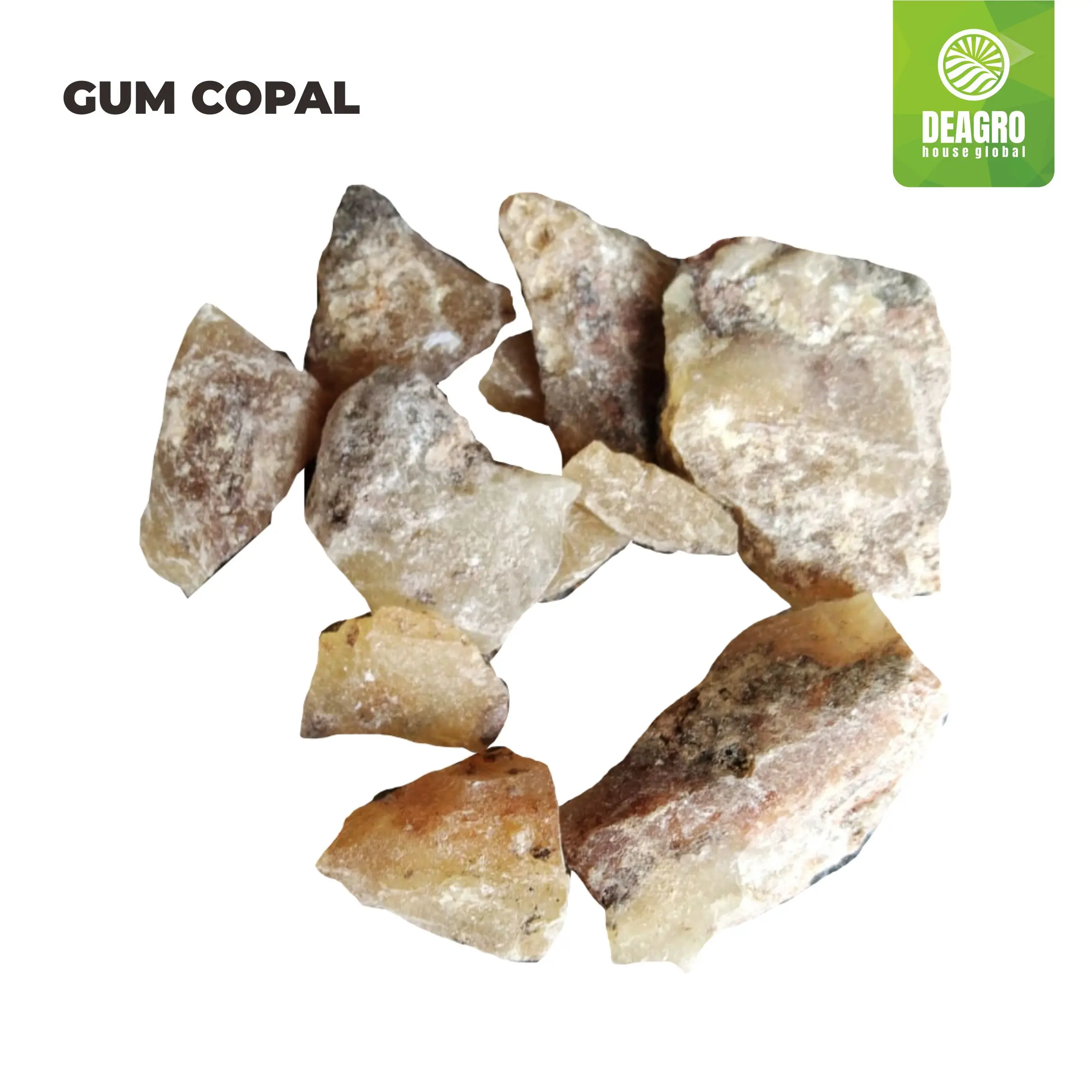 Indonesian Gum Copal Natural Export Quality