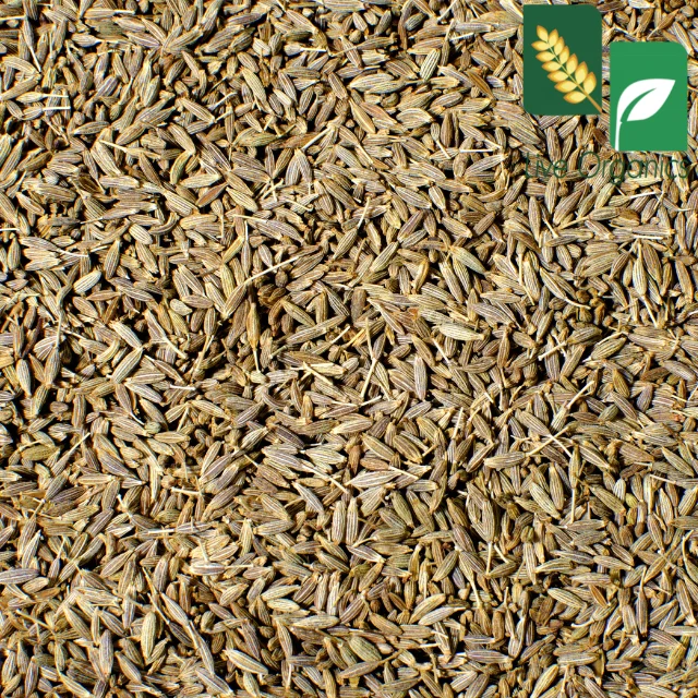Cumin Seeds - Natural & Organic  Cumin Seeds Grown in India - Ethically Sourced - Non-GMO