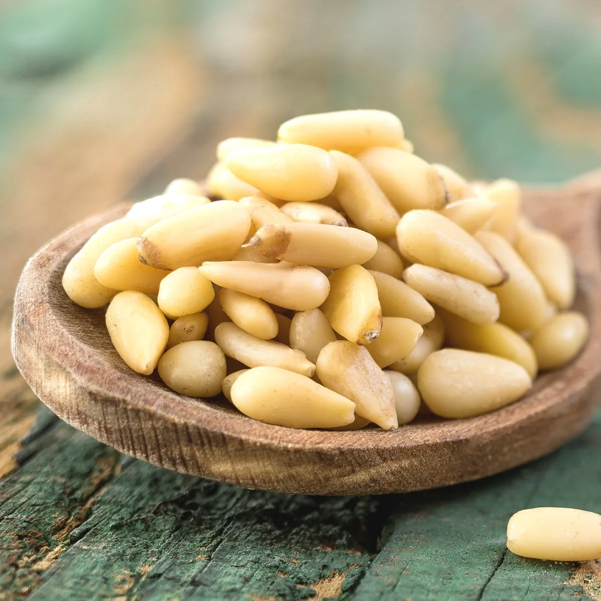 Export Quality Hot Sale Cheaper Organic Pine Nuts Suppliers Pine Nuts Seed