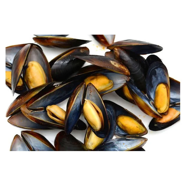 Seafood Importers Mussels In Shellfish Import Export Frozen Seafood High Quality Frozen Half Shell Mussel