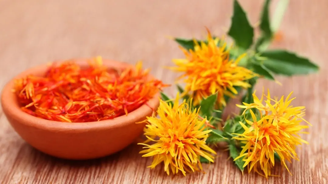 Organic100% Pure Natural Skin Safflower oil / Pure Natural Safflower essential oil / Aromatherapy Essential Oil