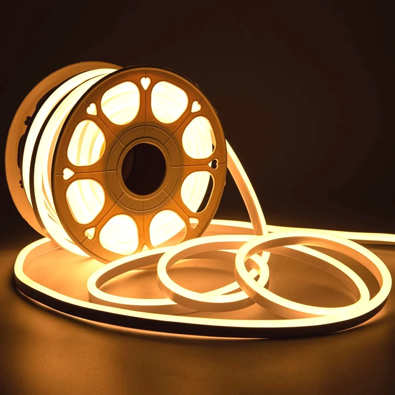 Neon LED Strip 220V Holiday Lighting Flexible 100 m Roll 8*16 Light