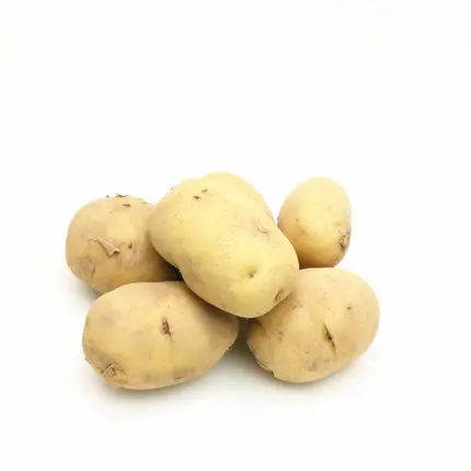 Organic Fresh Cheap Potatoes Suppliers