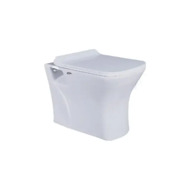 High Quality Floor Mount Sanitary Ware Fedra S and P Trap One Piece Toilets WC Toilet Seats for Sale at Best Prices