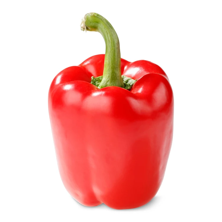High Quality Fresh Capsicum Bell pepper For Sale
