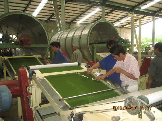 2022 Original Manufacturer Hot Selling Dried Black Tea for Health from Vietnam