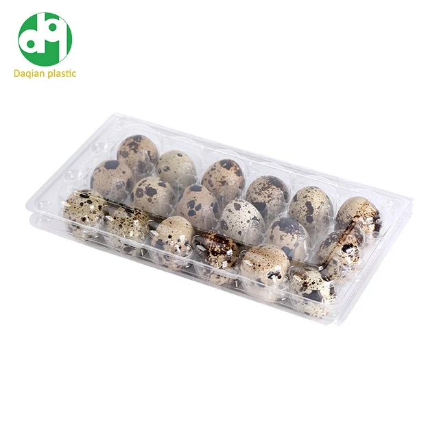 Disposable Quail Egg trays 6/12/24/30 cells clear PET plastic eggs container