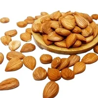 Great Price Fast Shipping Dried Apricot fresh apricot kernels