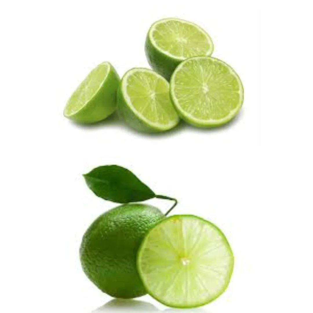 High Quality Lime Without Seed Keep Cool Or Refrigerated Green And Pale Yellow Organic Packed In Box Vietnam Manufacturer