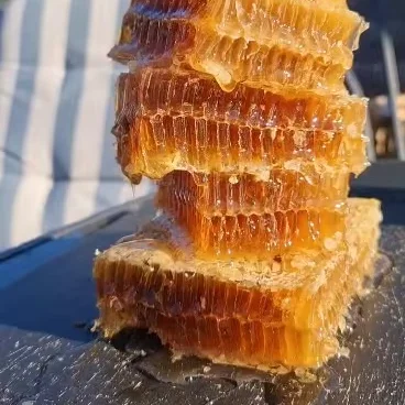 Manufacturer Honey Real Combhoney 1000 g Honey Comb 36 oz Dlicious Honey 12 Ounces ANGLE