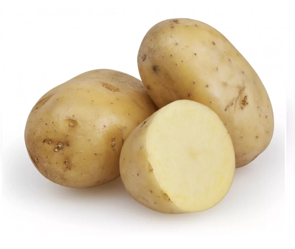 Organic Fresh Potatoes 100% High Quality Export Oriented Low Price For Wholesale Price Fresh Potato Holland From Bangladesh
