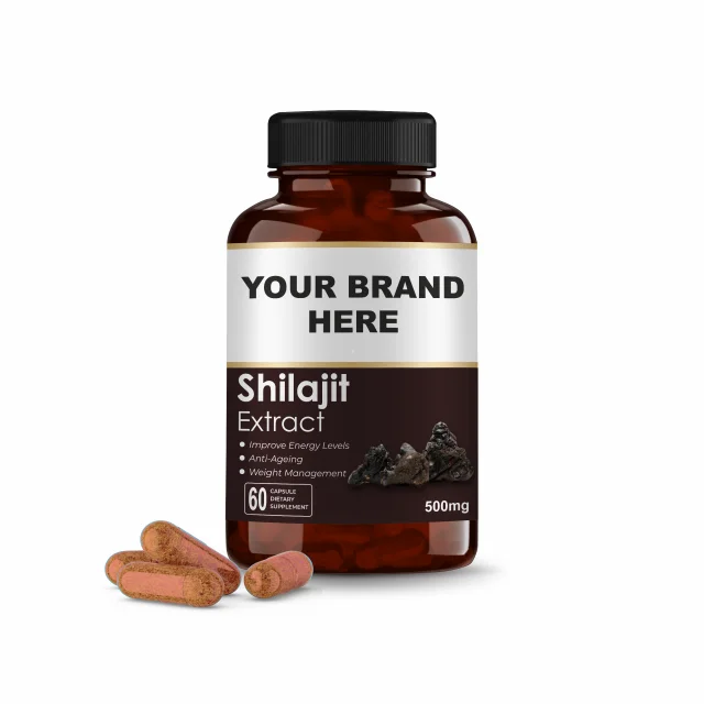 High Quality Shilajit Extract Capsules  | Shilajeet | Vegetarian Capsules | OEM Service (60,90,120Capsules)
