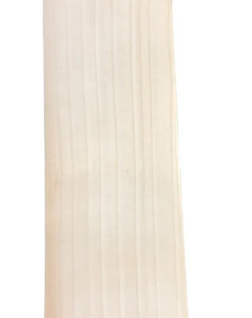Customized High Quality Players Edition English Willow Cricket Bat