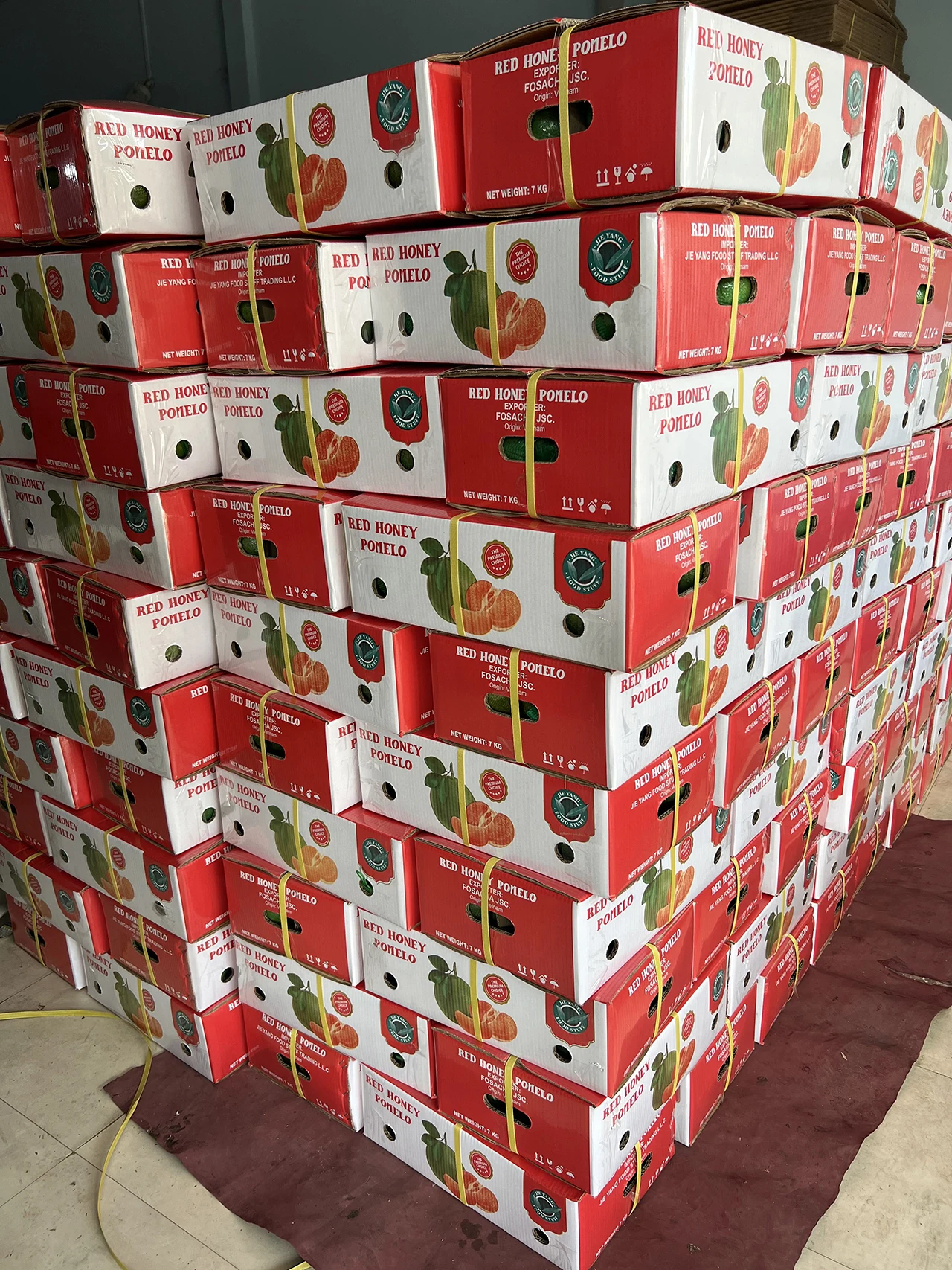 High Quality Fresh Pomelo Exotic Citrus Fruit Direct from Vietnam Whole Sale with Competitive Price
