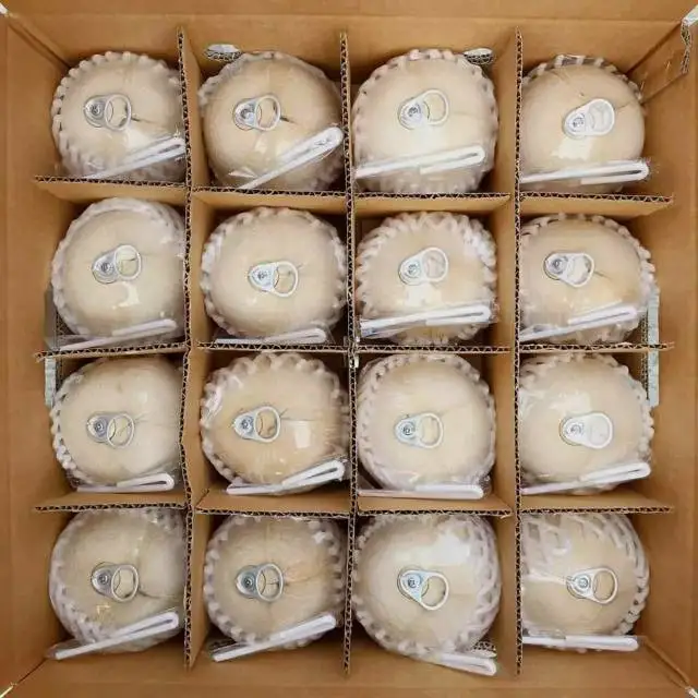 Хит продаж, высокое качество, свежий молодой кокос из Таиланда, Ратчабури