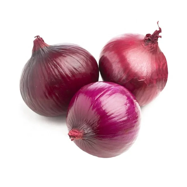 High quality 10kg/20kg Mesh Bag red peeled Onions in bulk onion exporter fresh red onion for good price