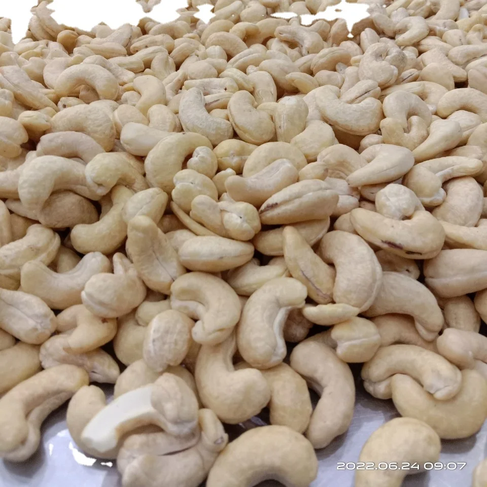 VIETNAM WHOLE CASHEW NUT FOR MIDDLE EAST MARKET