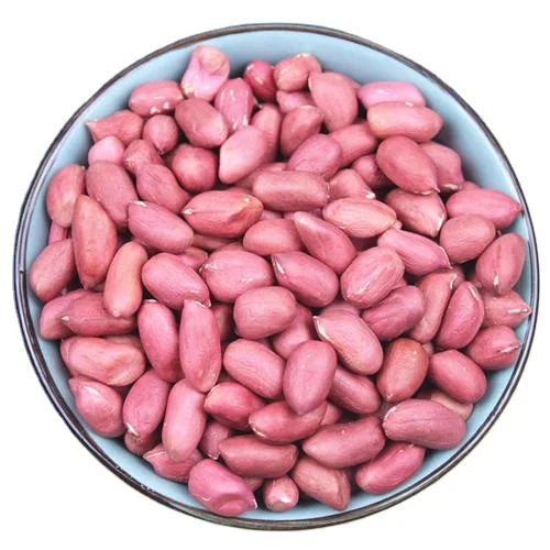 Red peanut,blanched peanut kernels,Bold PeanutsBlanched Peanuts Java Peanuts/ Raw Peanuts Kernel / Raw Peanut in Shell