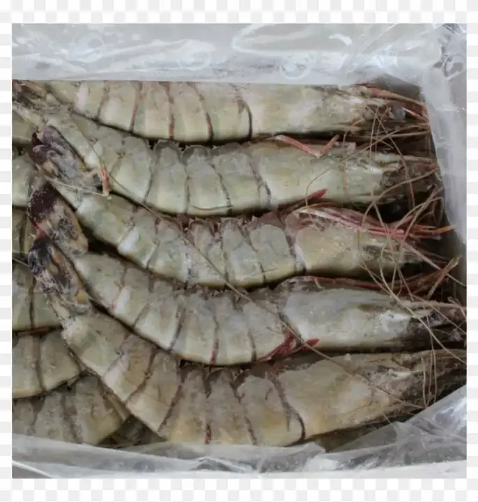 Fresh Tiger Prawns/wild Shrimps/chilled Seafood