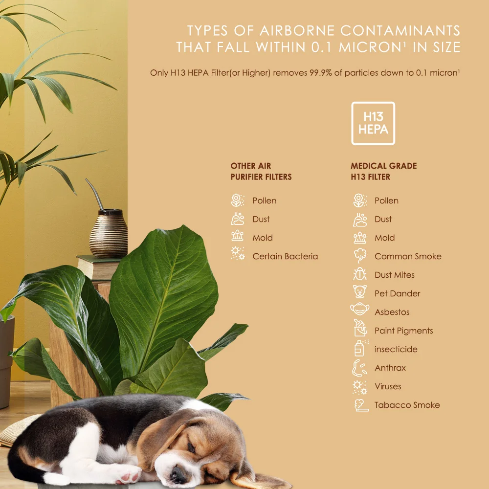 [ BION ] Air Purifier Model A100 Breath Fresh Air HEPA Filter Air Cleaner Anti Odor Anti Bacteria App control CADR Value: 208 m3