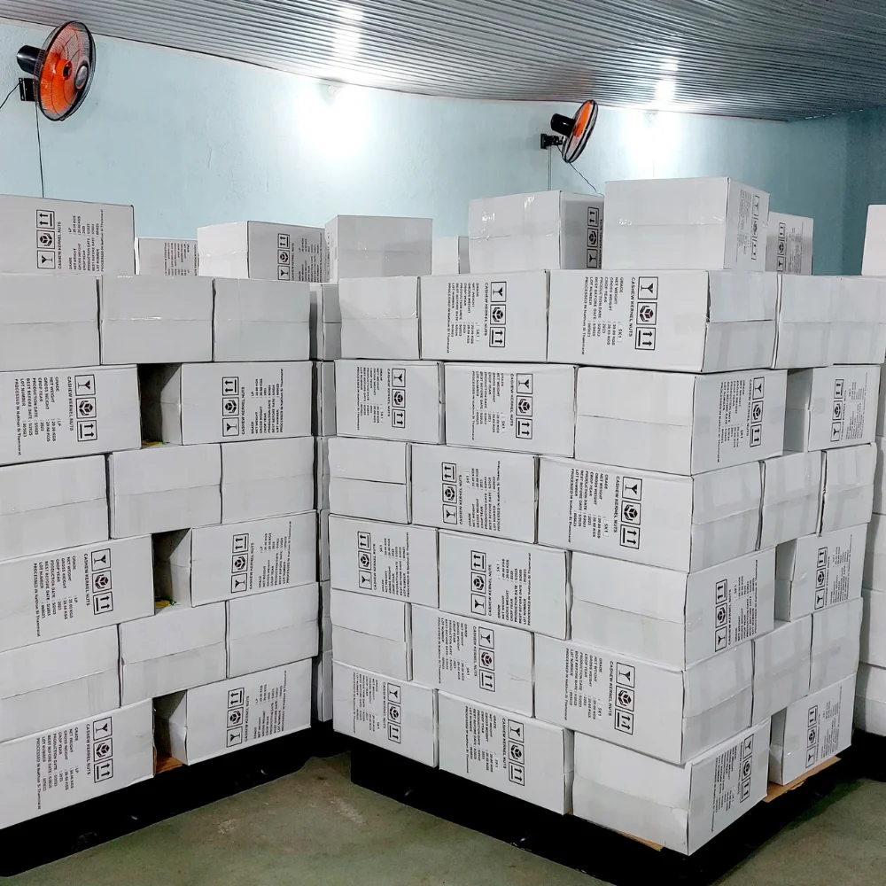 Trusted Factory Cashew Nuts Cashew Nuts W320 Cashew Kernel Customized Packing