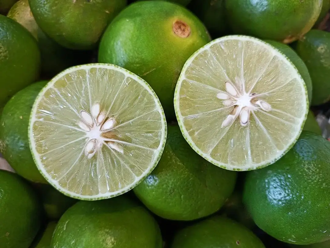 fresh seedless lime 5.jpg