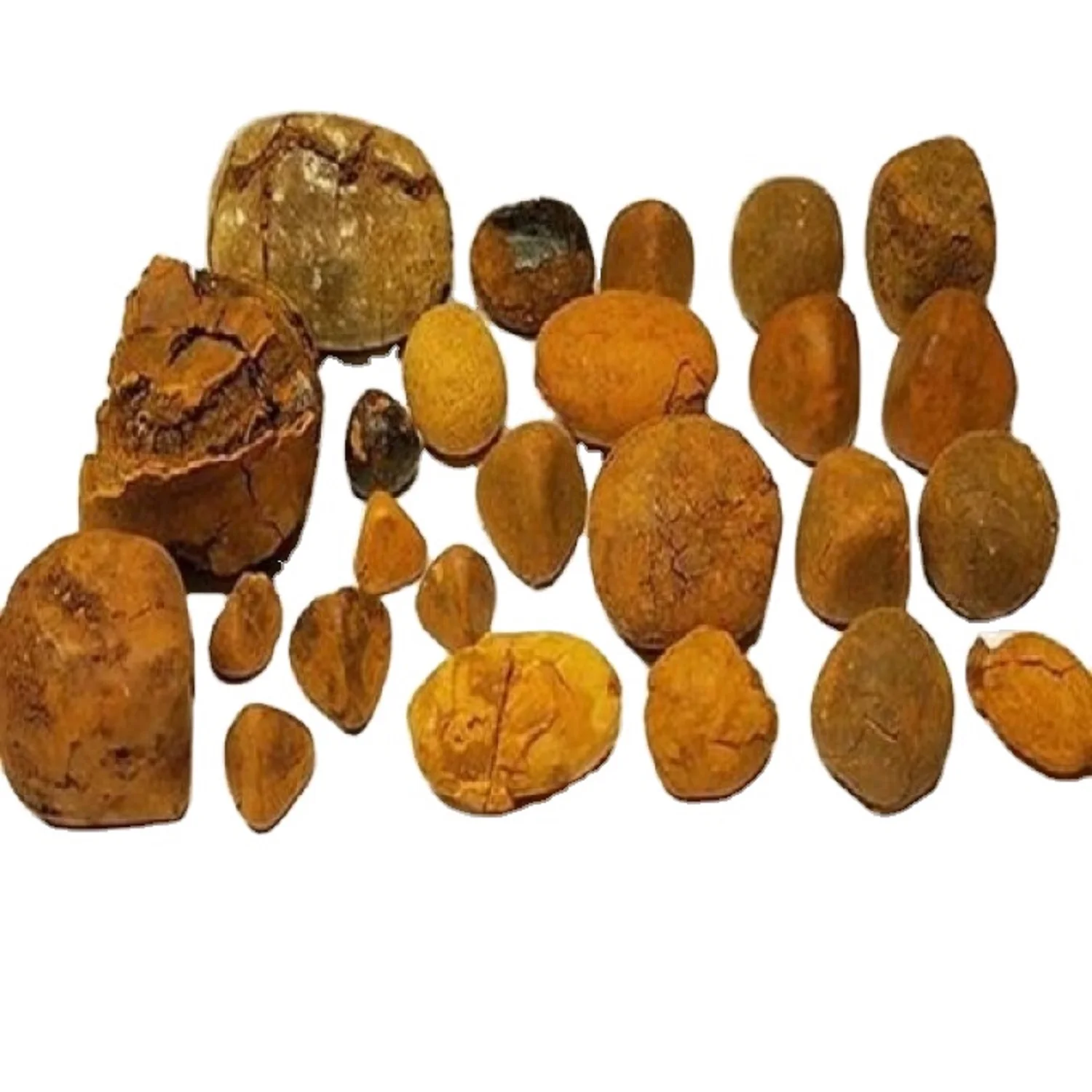 Export 100% Natural Top Quality Ox Gallstones Cattle Gallstones Cow Gallstones for Sale