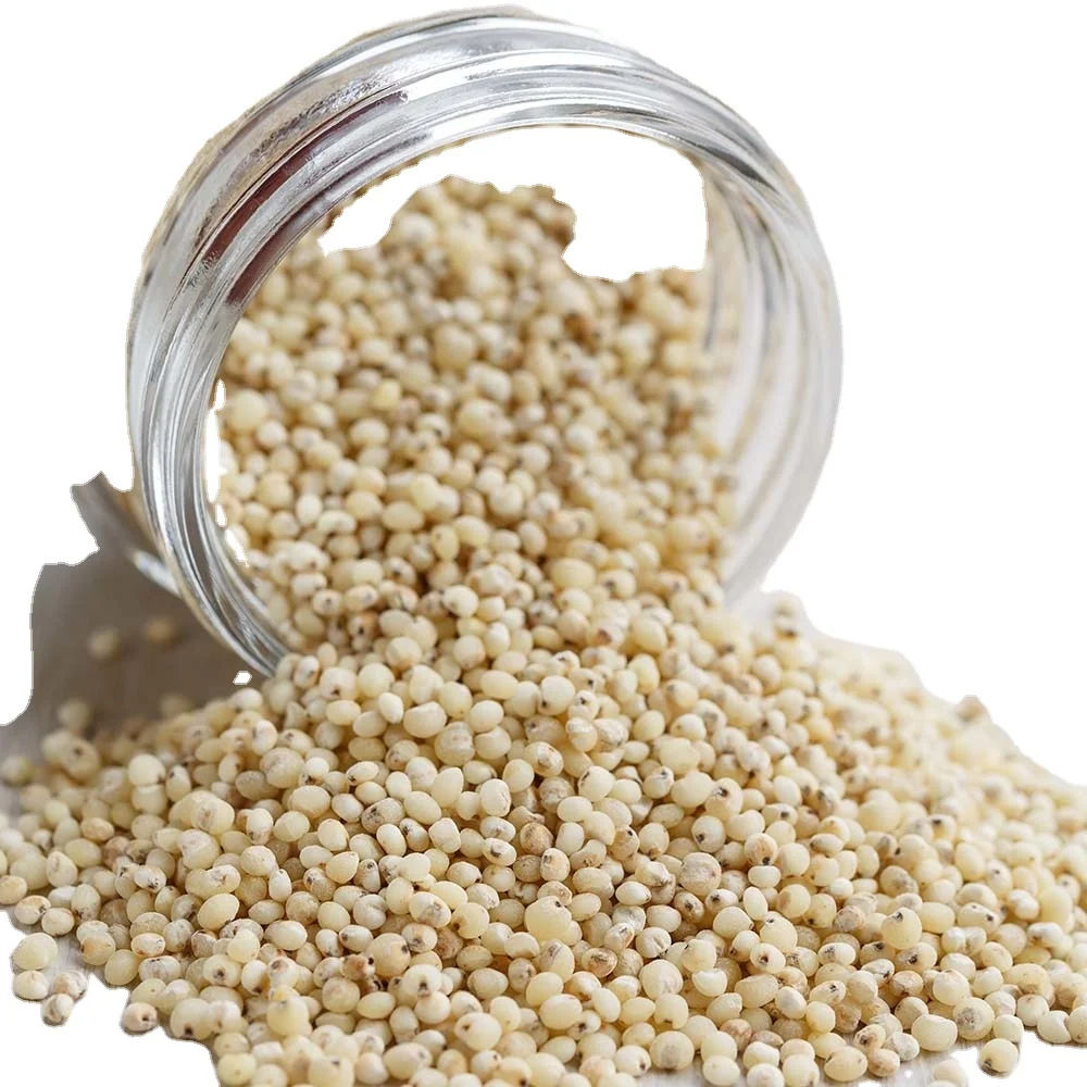 White Milo Sorghum Grains Sorghum Price Per Ton