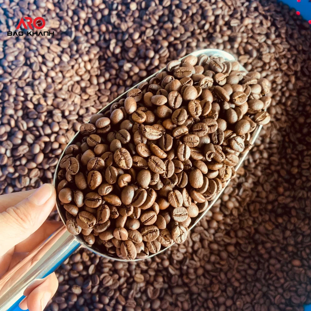 Fast Delivery Vietnam Robusta roasted Coffee Bean Strong taste caffein Wholesale price at factory Packaging OEM Ready to export