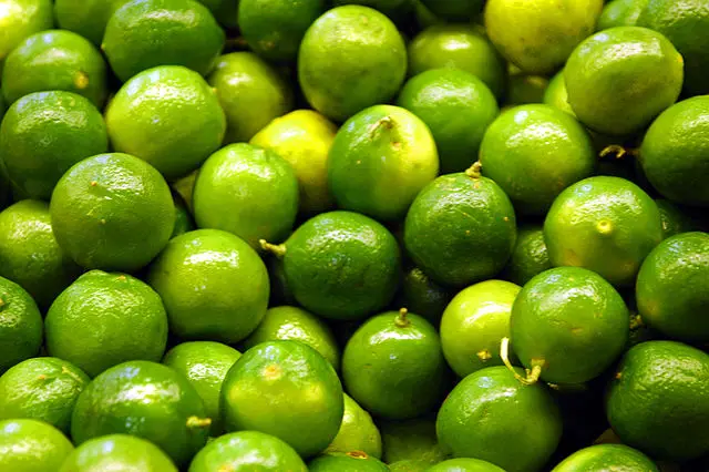 Organic Fresh seedless lime/green lemon fresh fruit without seed from Vietnam high quality wholesales