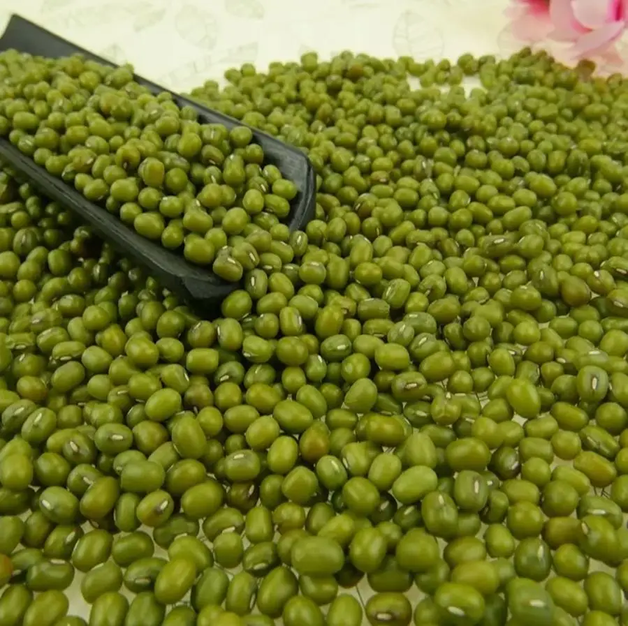 Green Moong Dal - Moong Dal - Green Mung Beans