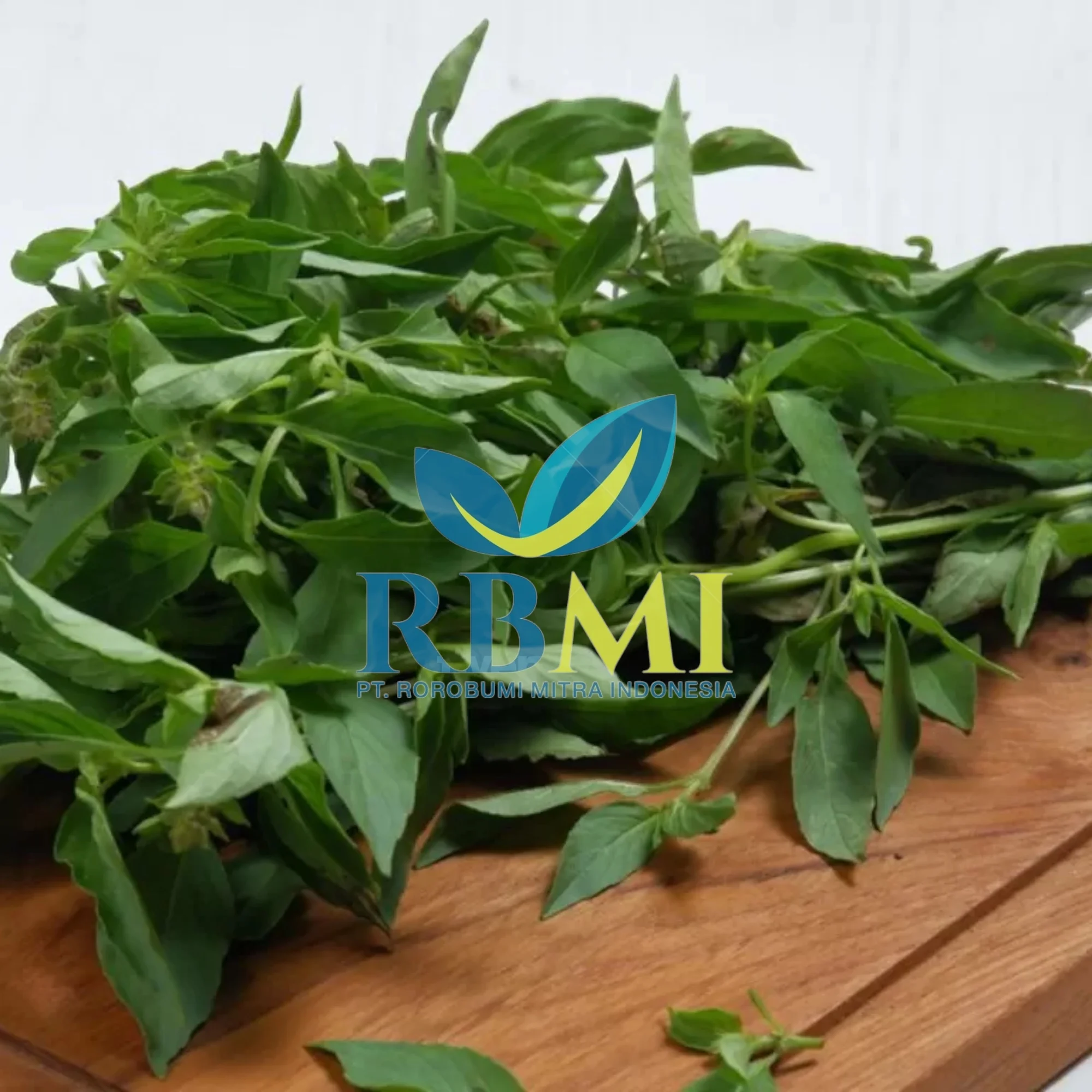 Best Selling Good Quality Basil Leaves Basil Leaf from Indonesia