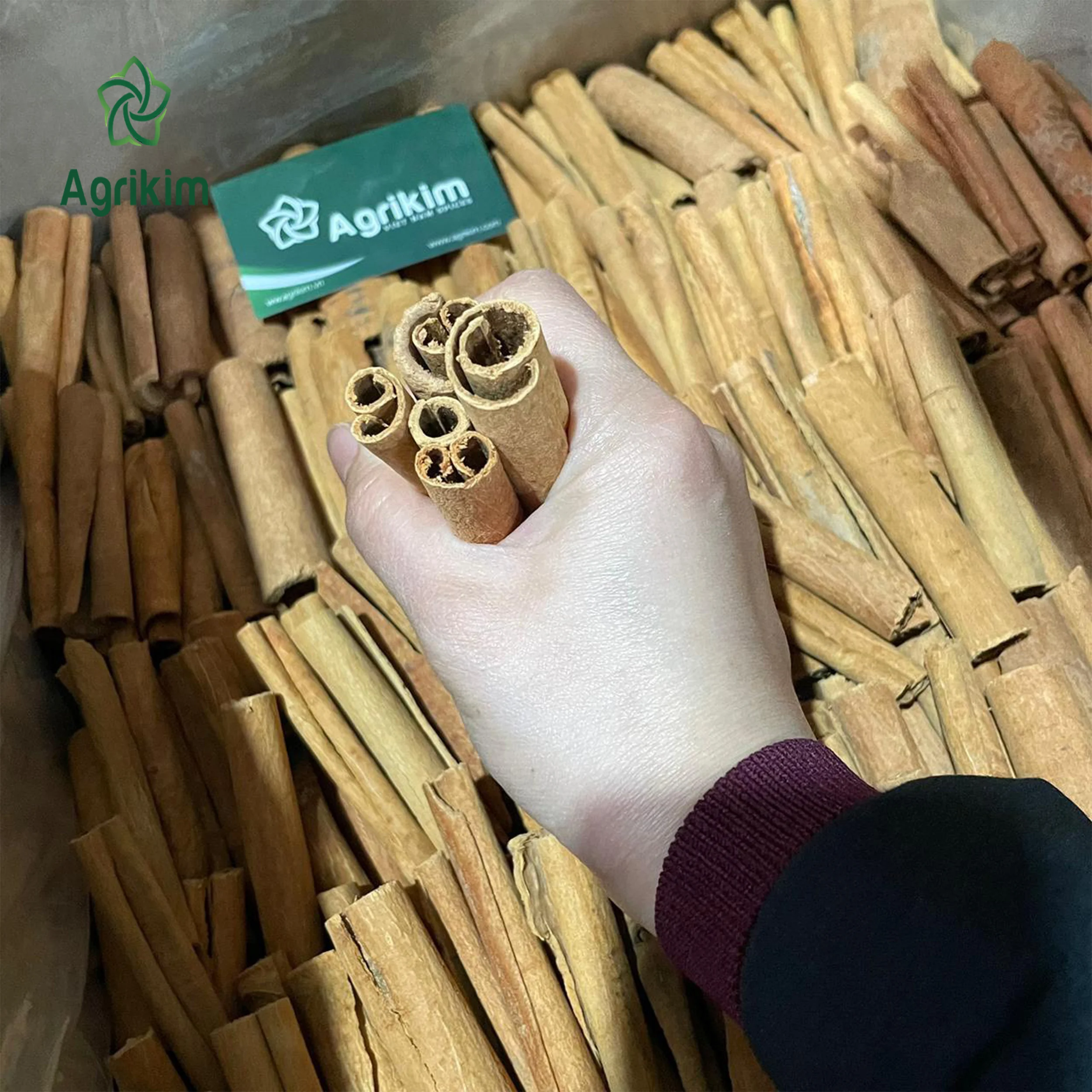[Free sample] Stick cassia/Cassia Vera/Cigar Cassia roll with the best price from reliable supplier +84 363 565 928
