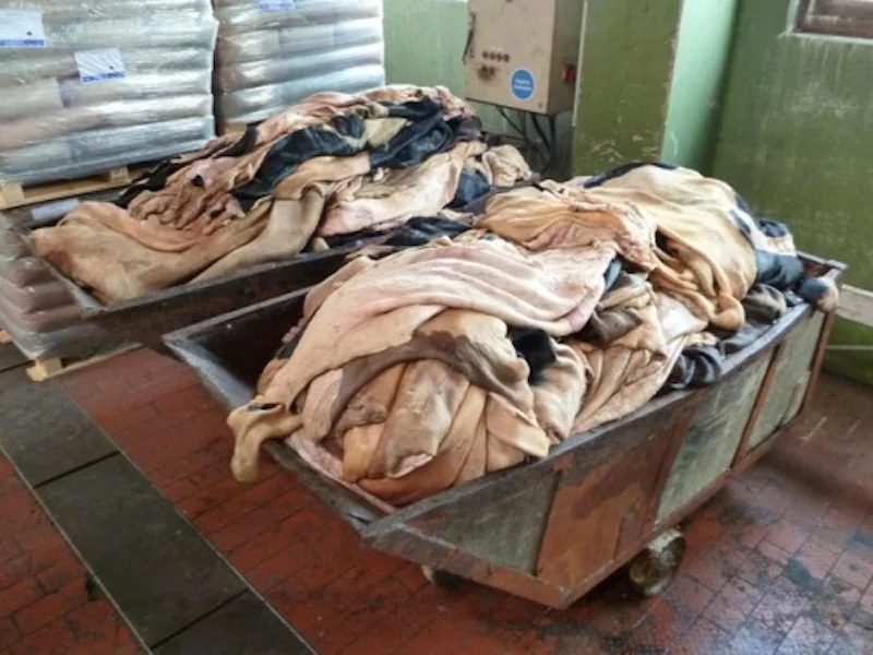 cow hide and skin7.jpeg