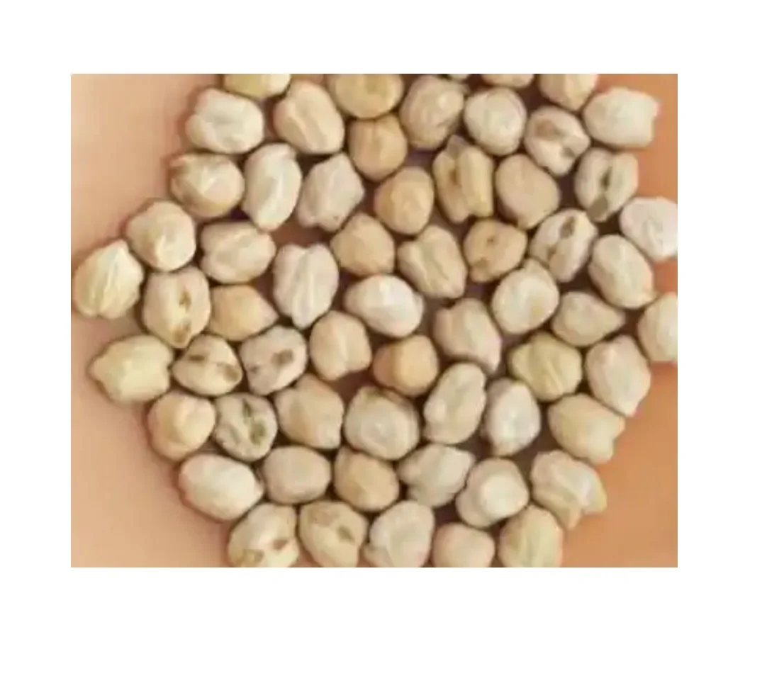 Best Manufacturing Roasted Chick Peas Deci Bulk Ready-to-Eat Boiled Wasabi Chickpeas Kosher Certified Wholesales Bulk Dried