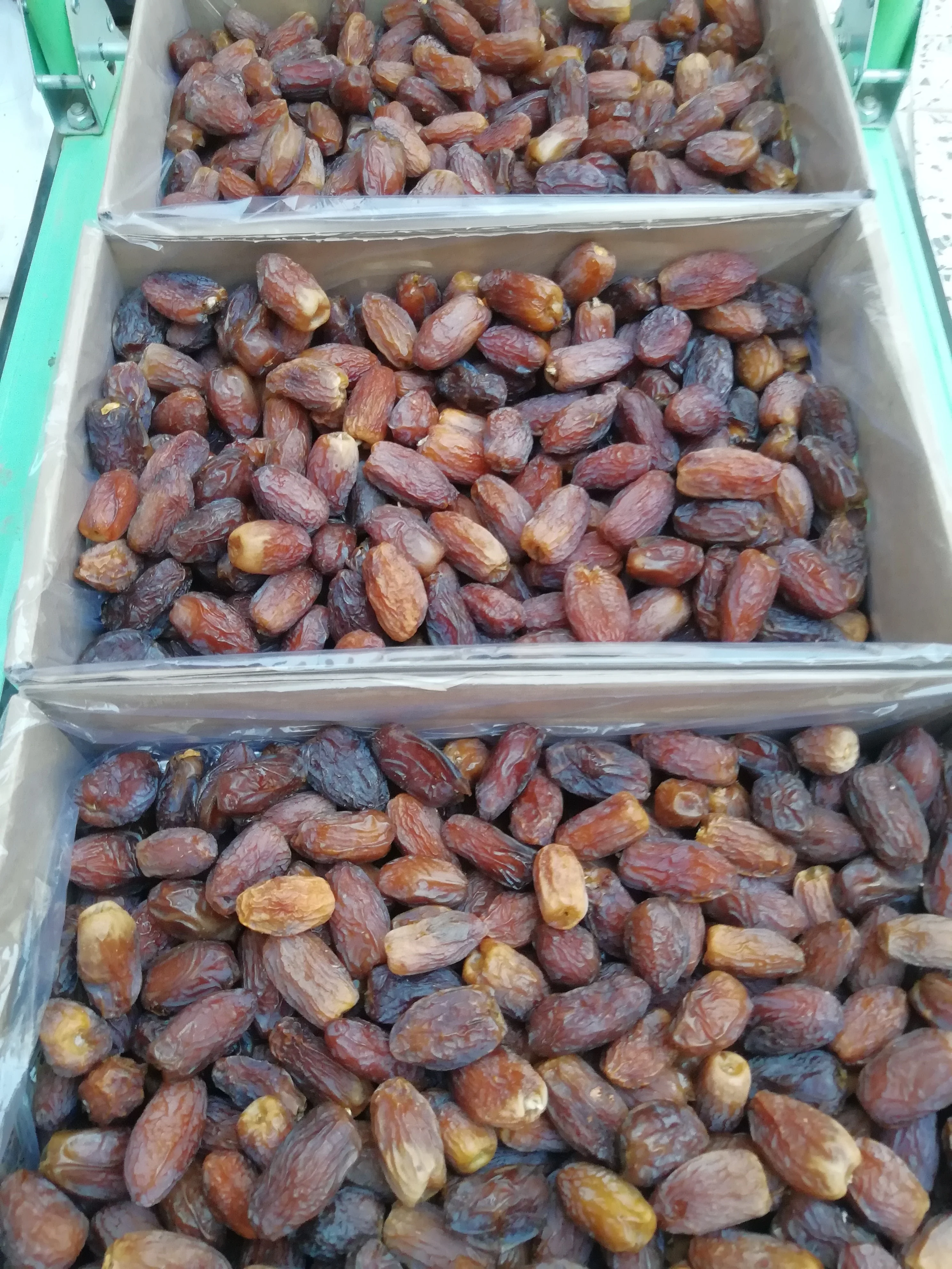 Premium Quality Medjool dates from Saudi Arabia Medjoul Medjool