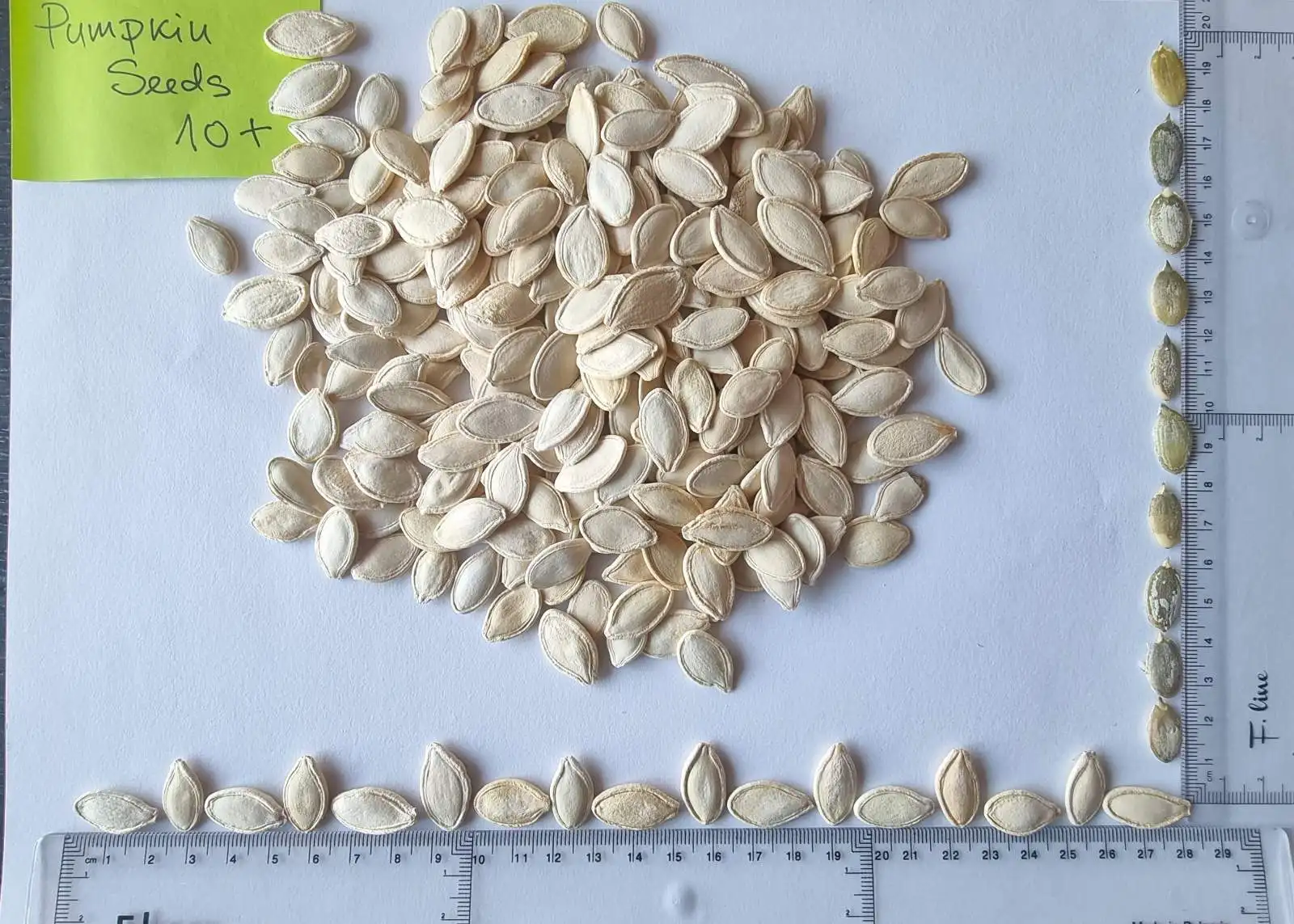 Высококачественные семена тыквы необработанного типа, стильные пищевые органические оригинальные снэки, высококачественный продукт, место HACCP GreatTaste