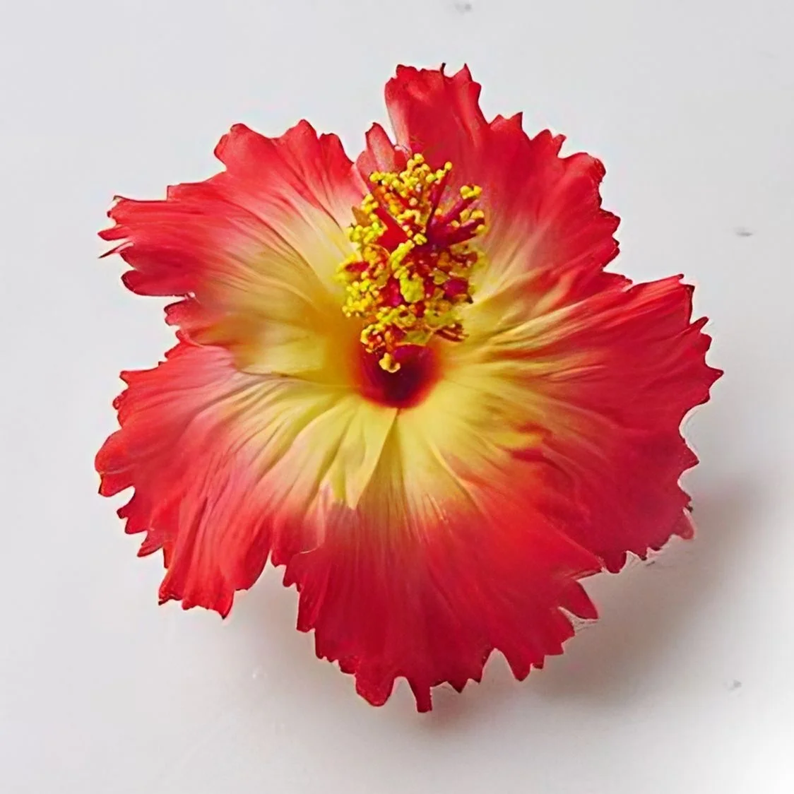 Premium Product of Hibiscus Foam Flower with unique tattoo print pattern (Pack 100 pieces)