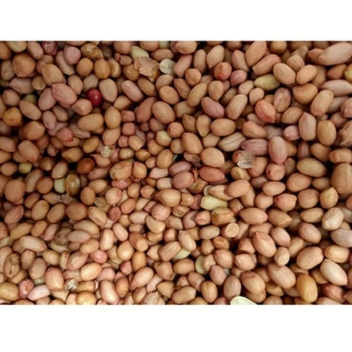 Premium Quality Java Peanut 80 90 Count Bulk Exporter Supreme  High Protein Raw Peanut Kernels Peanut  at Low Price from India