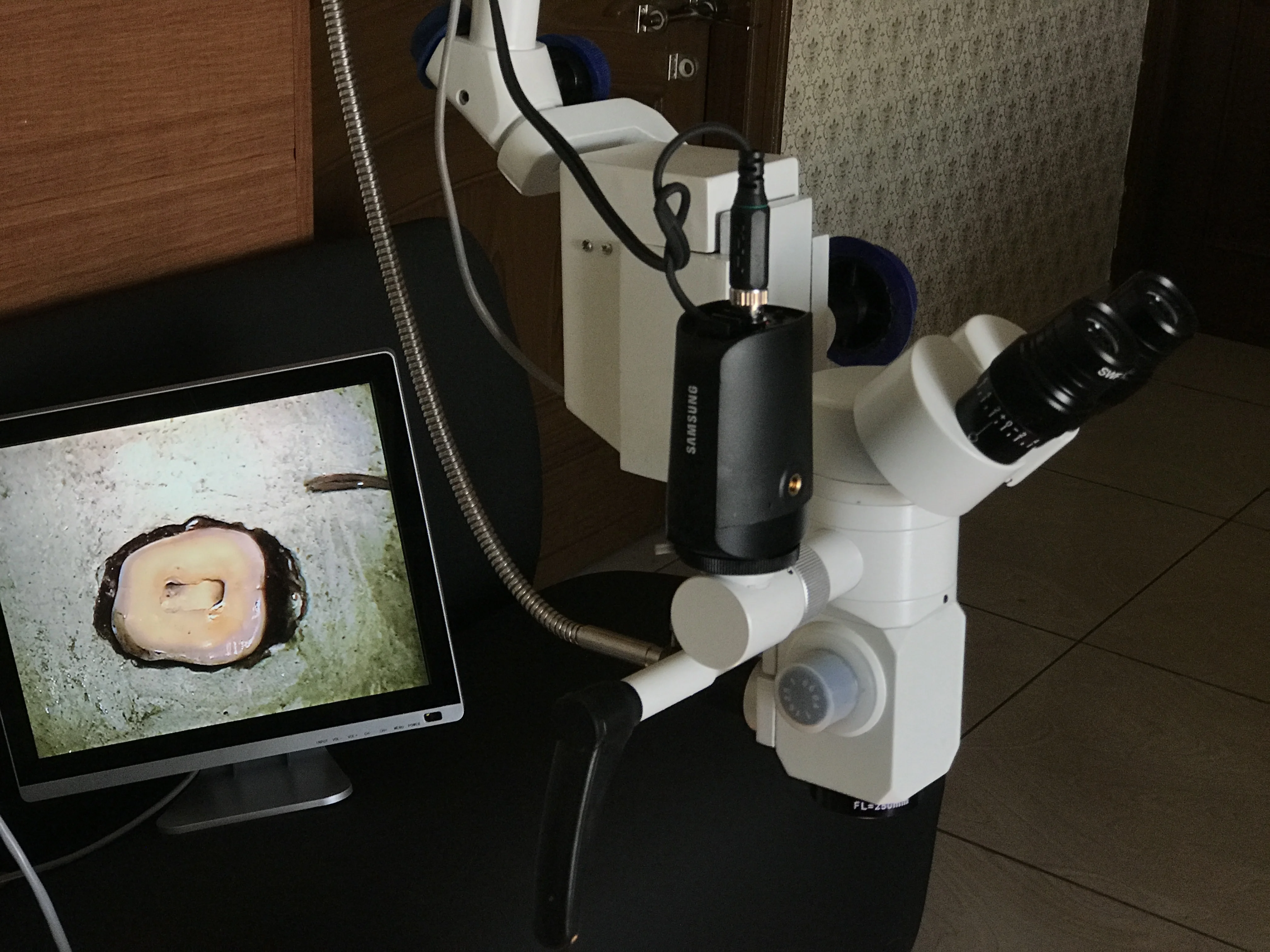 Company Supply Wholesale Price Dental Surgical Microscope for Sale