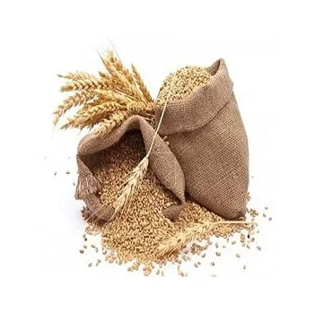 Высококачественные семена органического соложенного