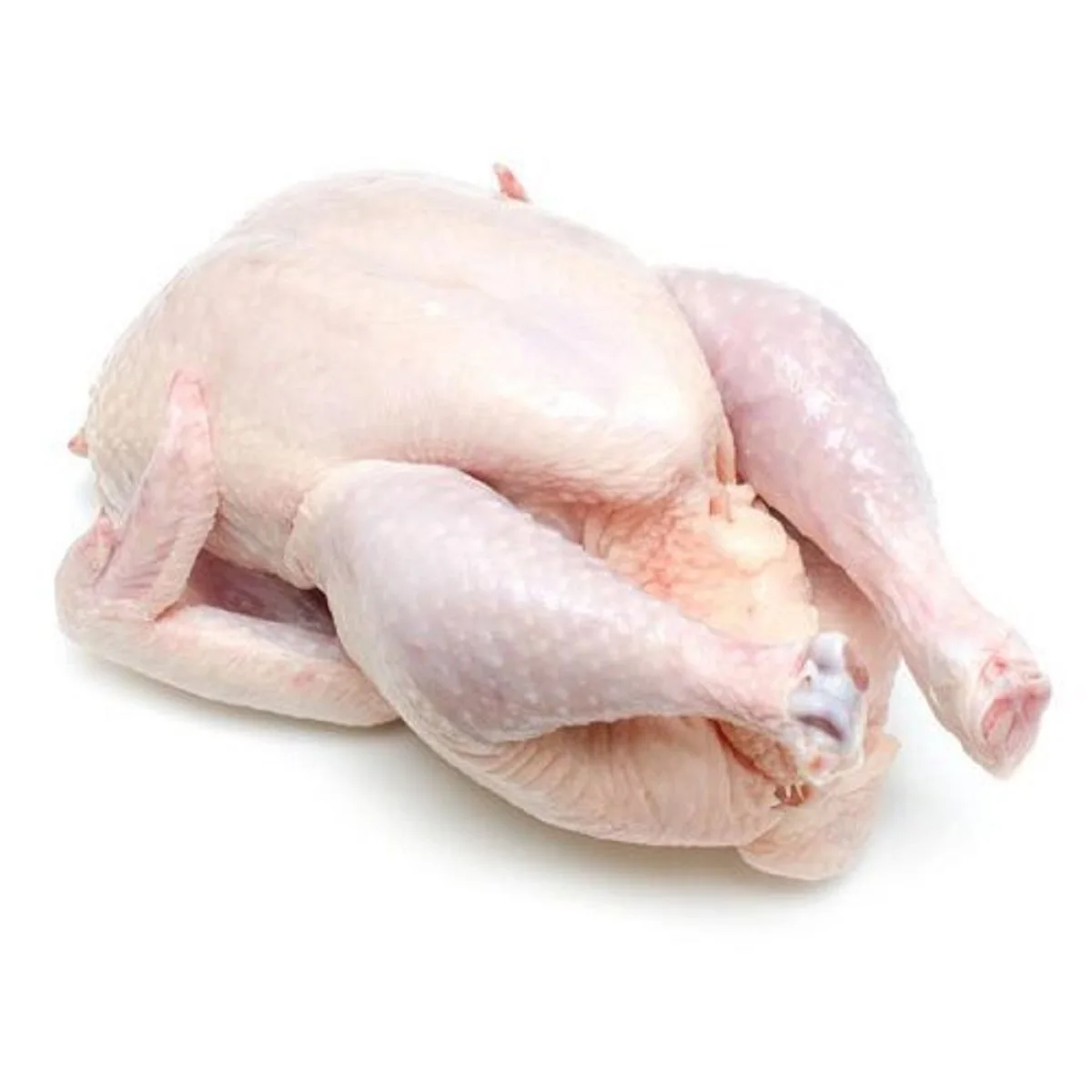 Buy Hot Sale Brazil Halal Frozen Whole Chicken