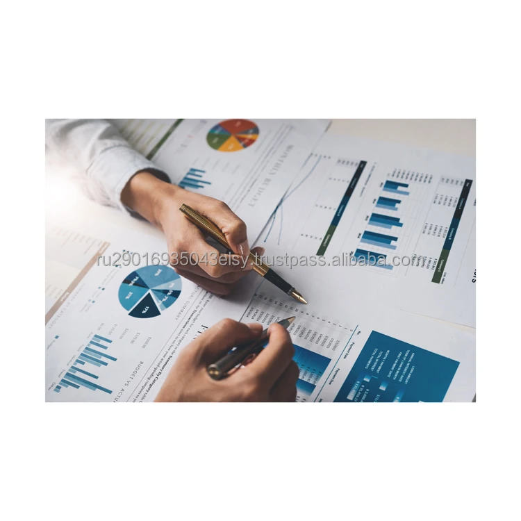 Investment projects development and support services in Russia in various spheres of business 10 years of experience