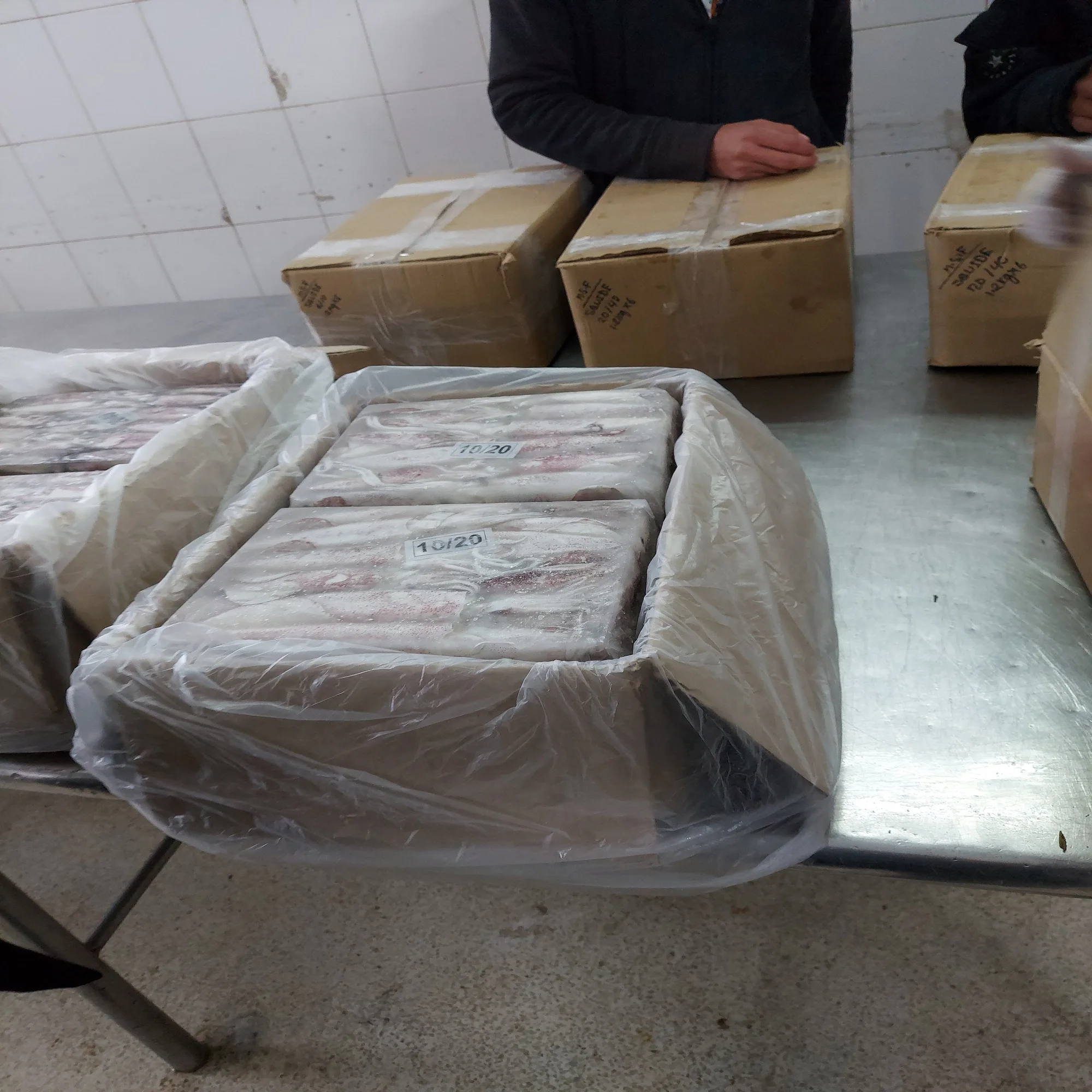 Lолиго кальмар замороженный каламари Бангладеш блок премиального качества Размер 3/6 6/10 10/20 20/40