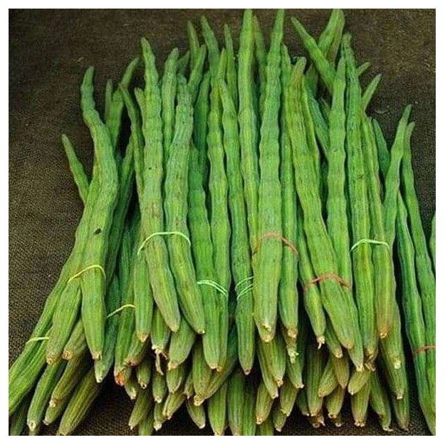 Okra Fresh Lady Finger Gumbo Okra Whole Okra Vegetable Cut in Frozen Vegetables with Good Price High Quality Fresh Drumstick