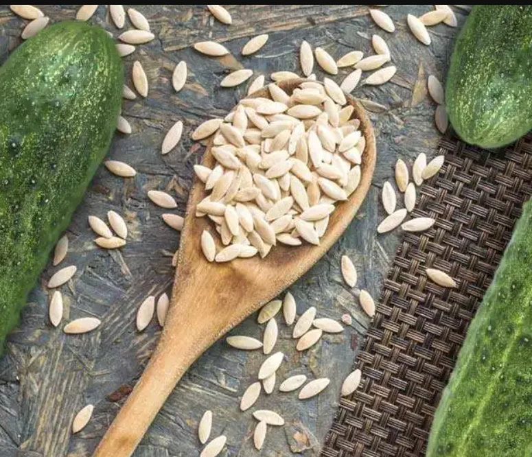 Yellow Cucumber Seeds