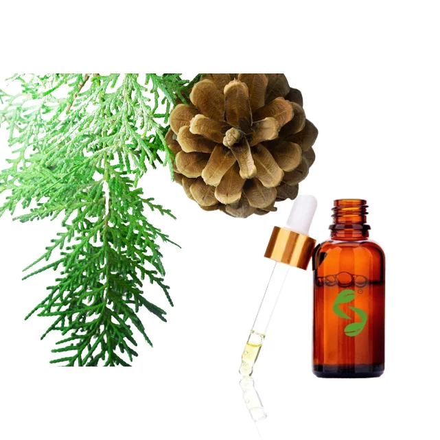 GMP Manufacturer Supply Pure Natural Cedar Extract Oil Premium Quality Wholesale Selling OEM Cedarwood Essential Oil for Supply