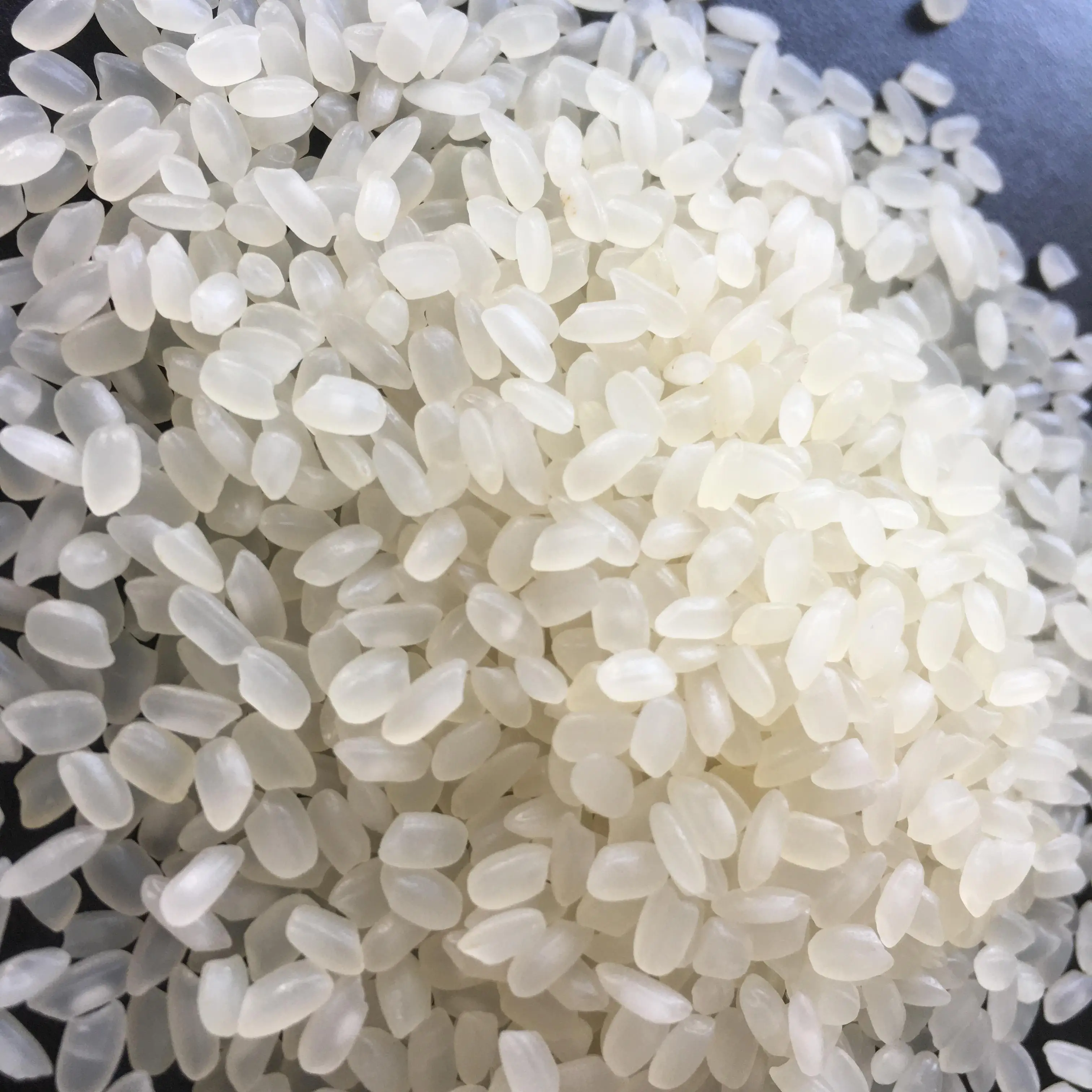 Vietnamese Rice Well mill and double polish F&B 5% Broken White Common Soft Texture AD Dried Style Calrose Round Grain Rice