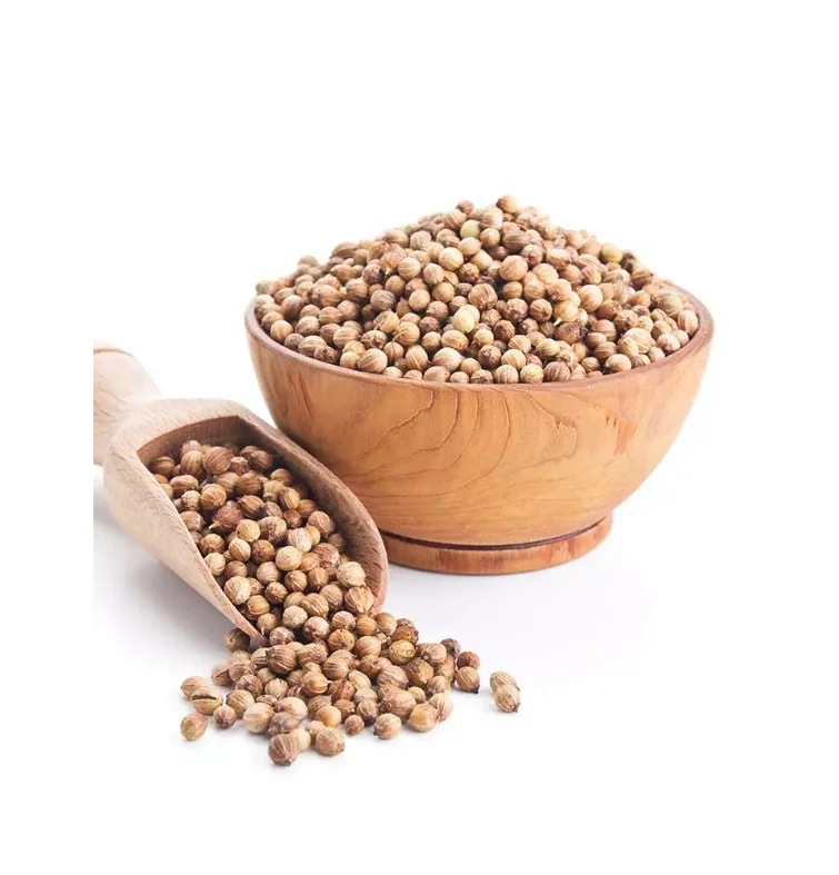 Affordable Coriander Seeds Available for Sale Great Value for Bulk Purchases Perfect for Home Cooks and Food Lovers